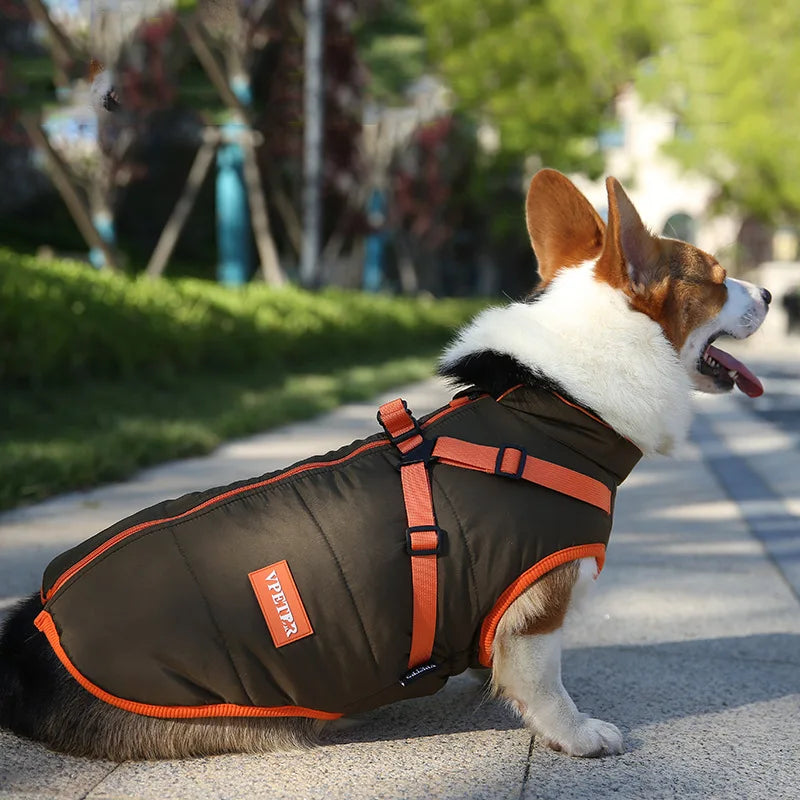 VivaPet Vinterjacka | Vattentät hundjacka med sele för chihuahuas, yorkshireterrier och andra små hundar