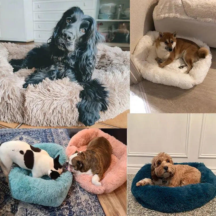FurHaven Deluxe Hundsäng | Lång plysch, tvättbar säng för hundar och katter