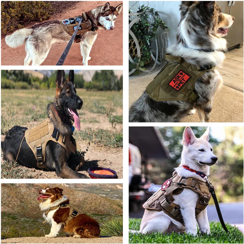 TacticalElite K9 Sele och Koppling Set - Militärstil Sele för Stora Hundar med Träningskoppel