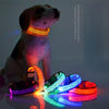 NightGlow LED Hundhalsband | Gå säkert och syns med detta lysande hundhalsband