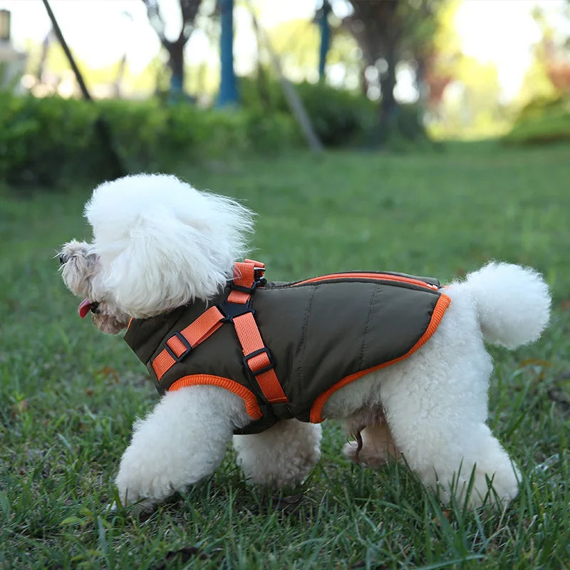 VivaPet Vinterjacka | Vattentät hundjacka med sele för chihuahuas, yorkshireterrier och andra små hundar