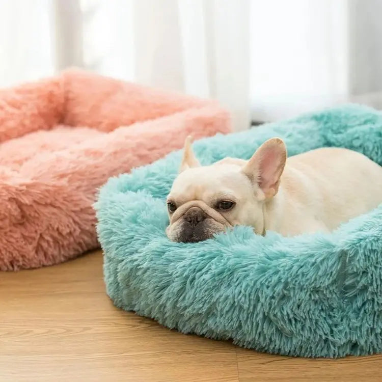 FurHaven Deluxe Hundsäng | Lång plysch, tvättbar säng för hundar och katter