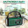 Multifunktionell Nödradio - SurvivorPower