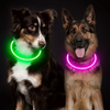 GlowSafe LED Hundhalsband – Uppladdningsbar USB Säkerhetslampa