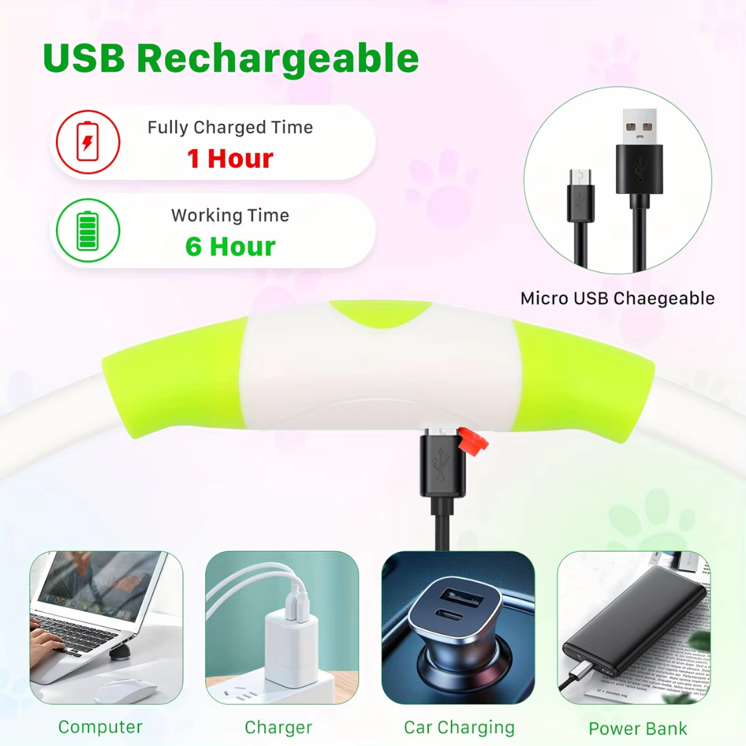 GlowSafe LED Hundhalsband – Uppladdningsbar USB Säkerhetslampa
