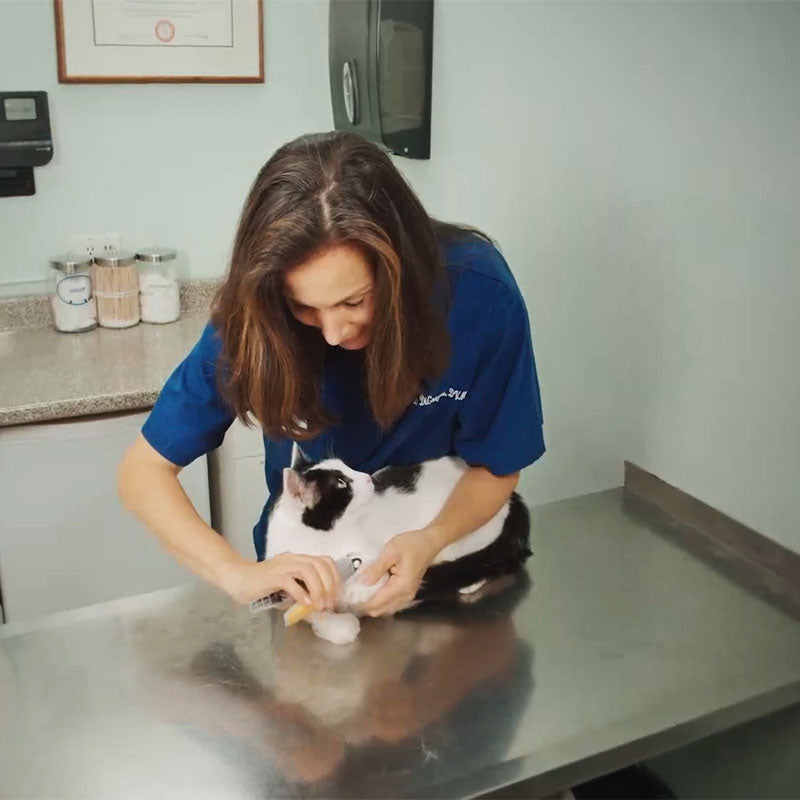 PawLux Pro Trimmer | Cortadora de uñas para perros avanzada con sensores de seguridad de precisión y diseño duradero