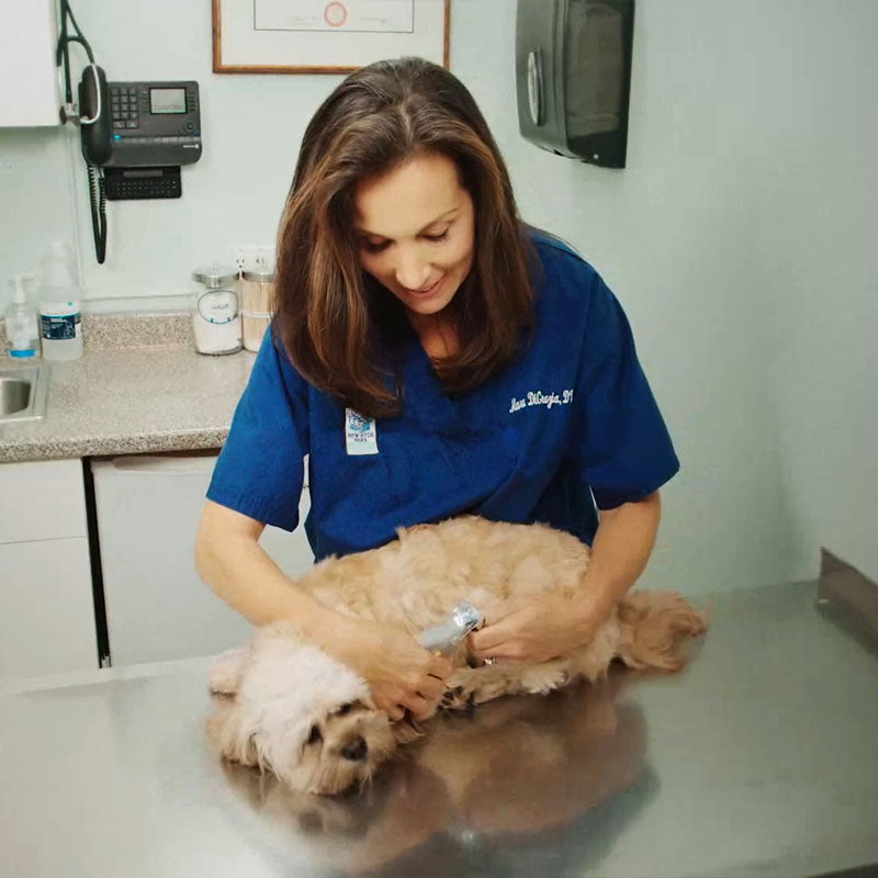 PawLux Pro Trimmer | Cortadora de uñas para perros avanzada con sensores de seguridad de precisión y diseño duradero