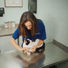 PawLux Pro Trimmer | Cortadora de uñas para perros avanzada con sensores de seguridad de precisión y diseño duradero