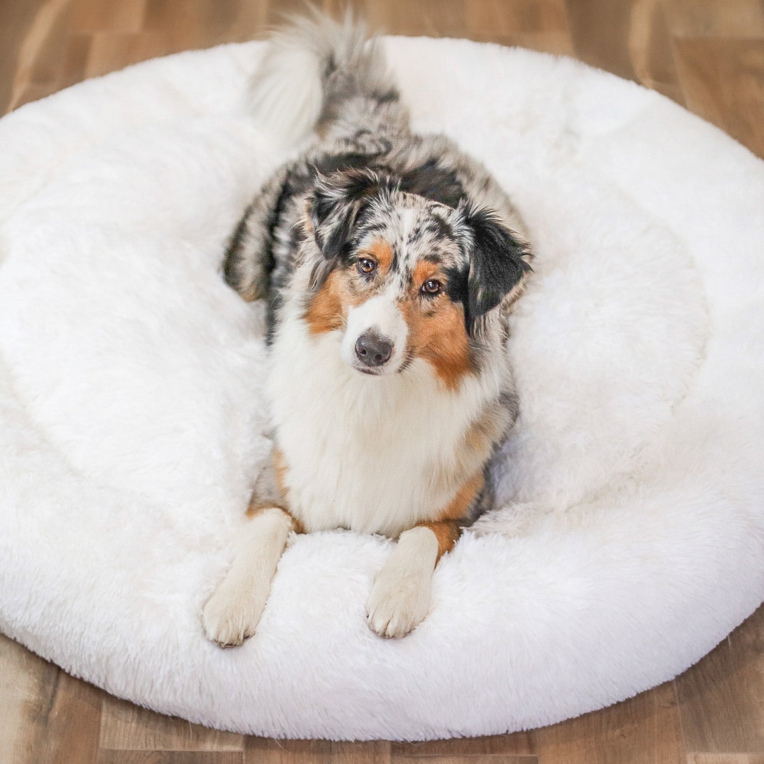 Fluffy Plus Hundbädd – Den Originala