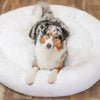 Fluffy Plus Hundbädd – Den Originala