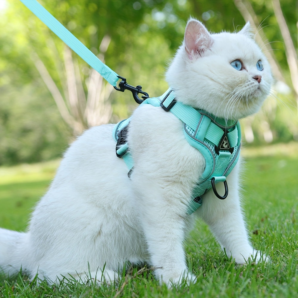 Reflekterande kattsele och koppelset – Idealisk för promenader och träning