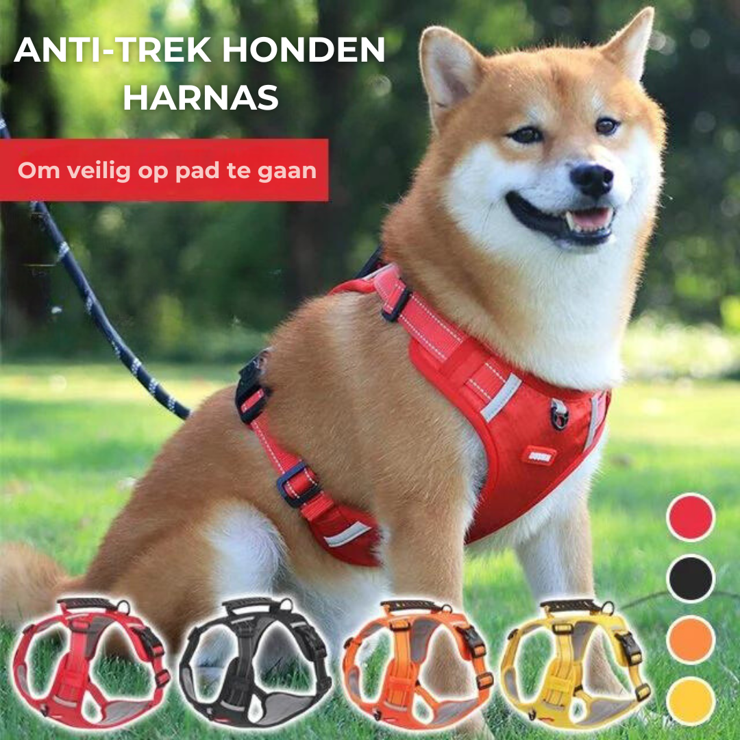 Robust & Bekväm Hundsele - ActivePup™