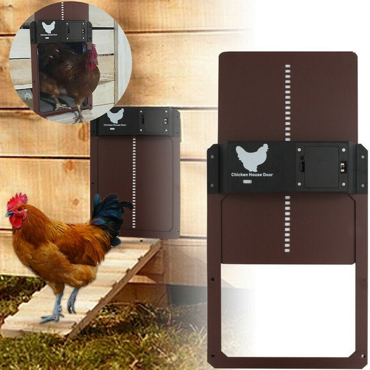 PoultryGuard Luxe Automatisk Dörr | Smart ljusstyrd dörr för säkra och trygga höns