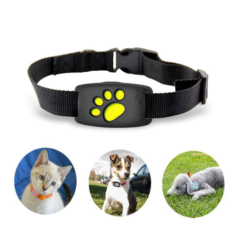 Intelligent GPS-halsband för katter och små hundar – PawTrack