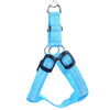 Hundsele med LED - Glow&Go