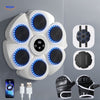 Interaktiv Smart Boxningsmaskin – PunchTech