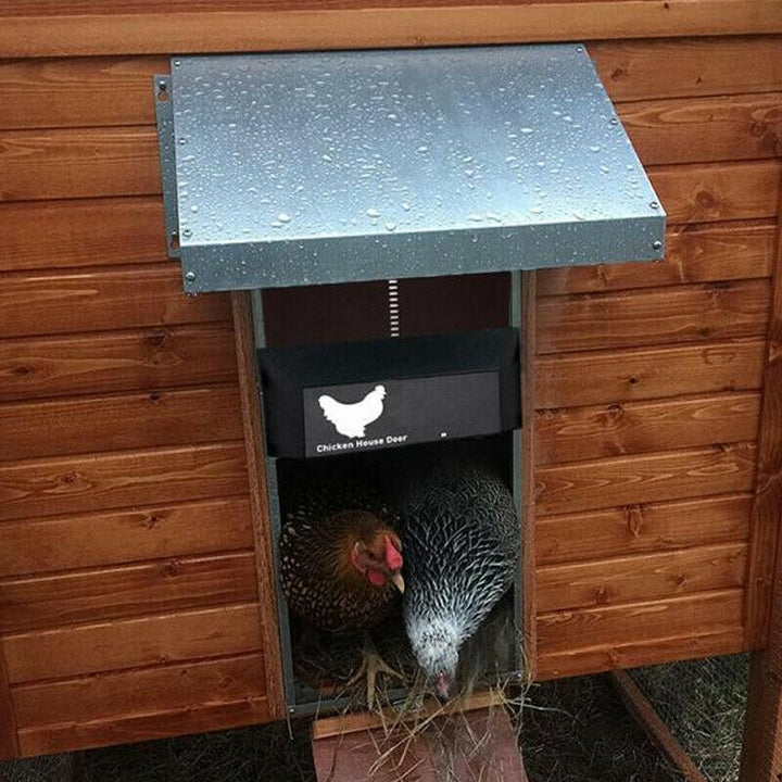 PoultryGuard Luxe Automatisk Dörr | Smart ljusstyrd dörr för säkra och trygga höns