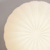 Filomena Luxe Taklampa - Dimbar och Elegant Design