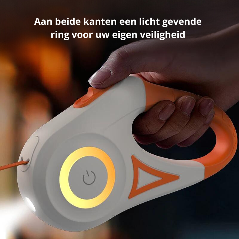Upplyst Hundkoppel med Ficklampa – GlowGuard