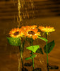 Vattentät Solroslampa – SolarBloom