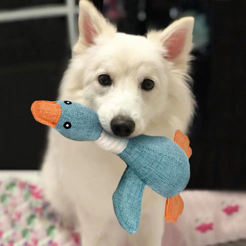 SolidPet Hundleksak | Hållbar & Säker | För Alla Hundar