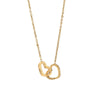 Eternal Rose Box - Personlig Anpassad Halsband