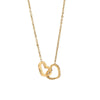 Eternal Rose Box - Personlig Anpassad Halsband