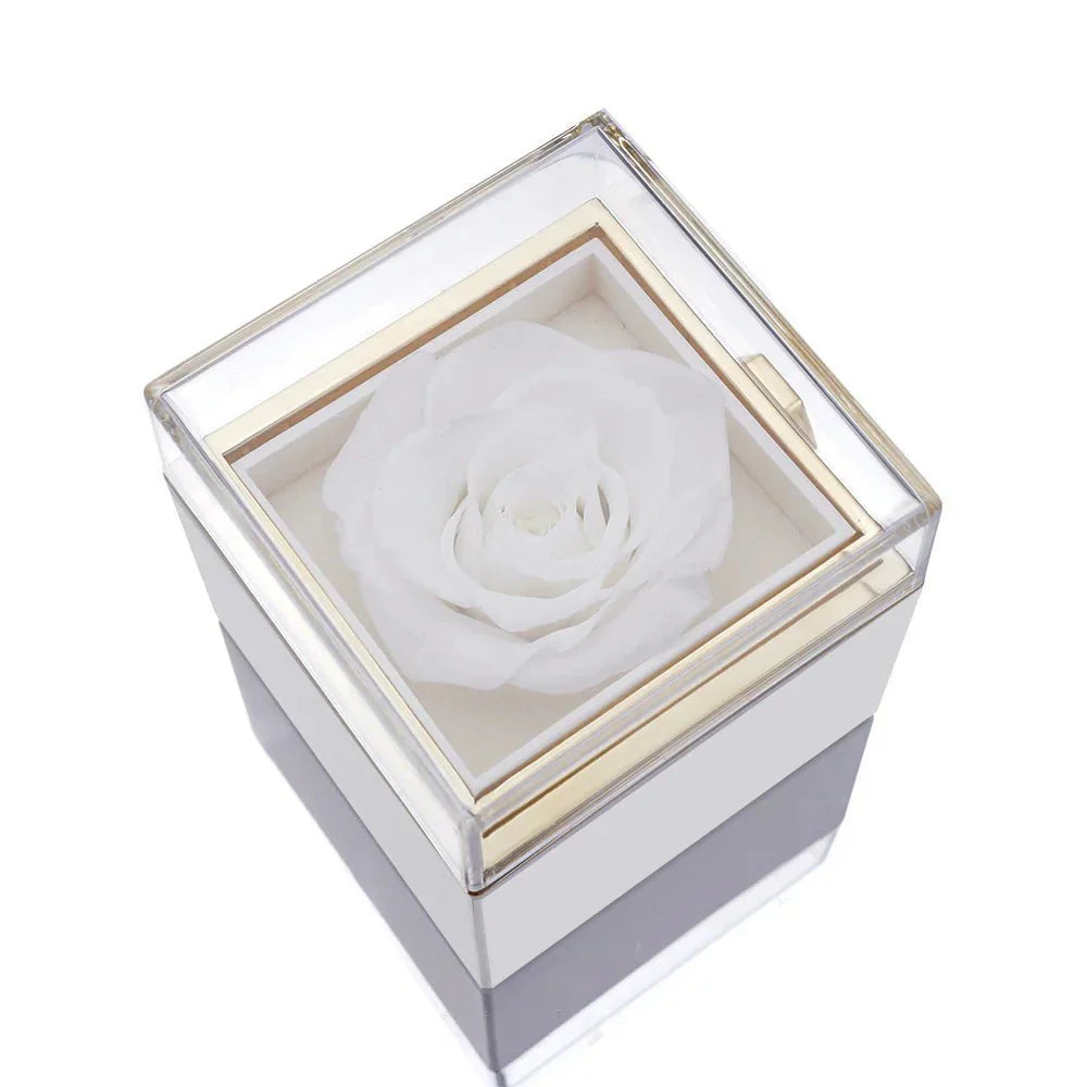 Eternal Rose Box - Personlig Anpassad Halsband
