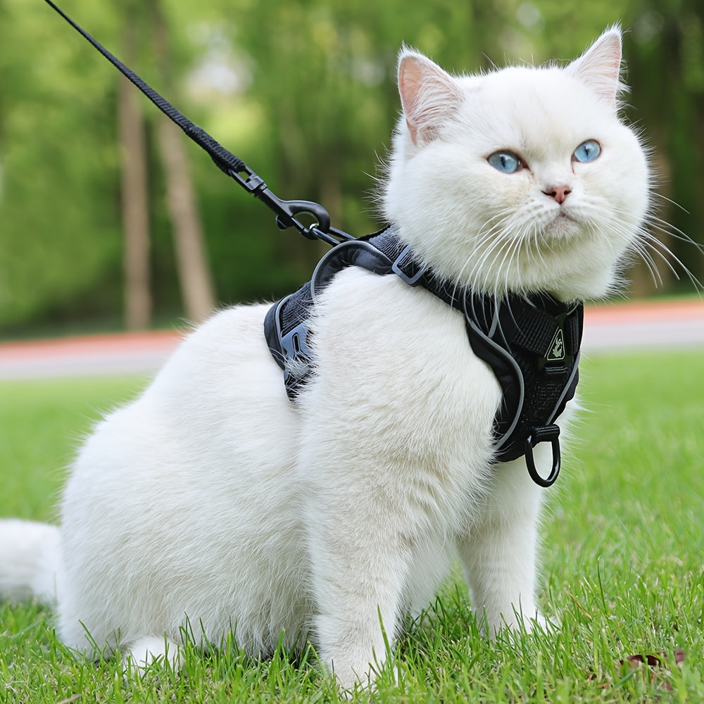 Reflekterande kattsele och koppelset – Idealisk för promenader och träning