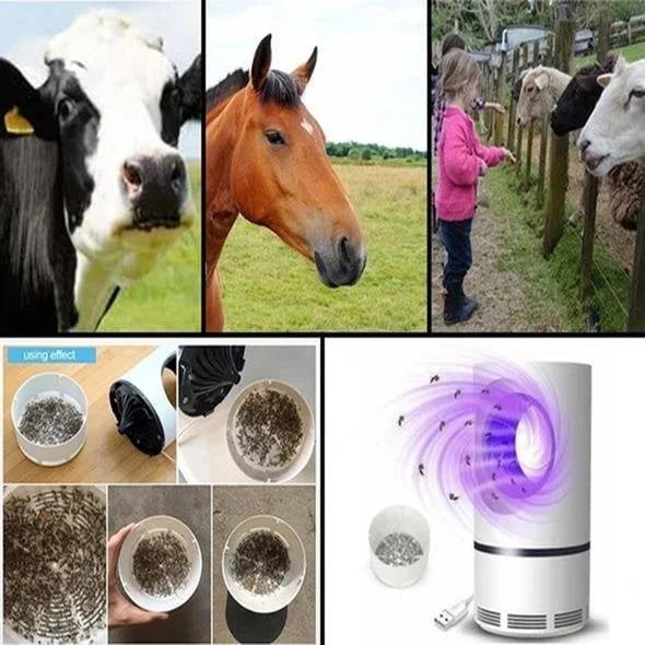 Mygglampa | Insektsfångare | Elektrisk Insektsfångare
