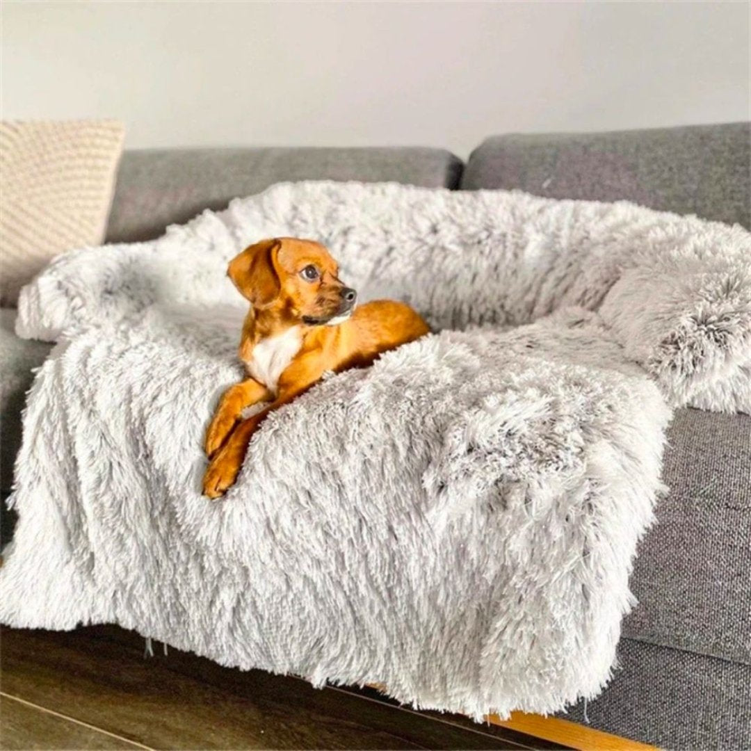 Vinterlyx Hundsoffa - PawLounge Snöflingeutgåvan