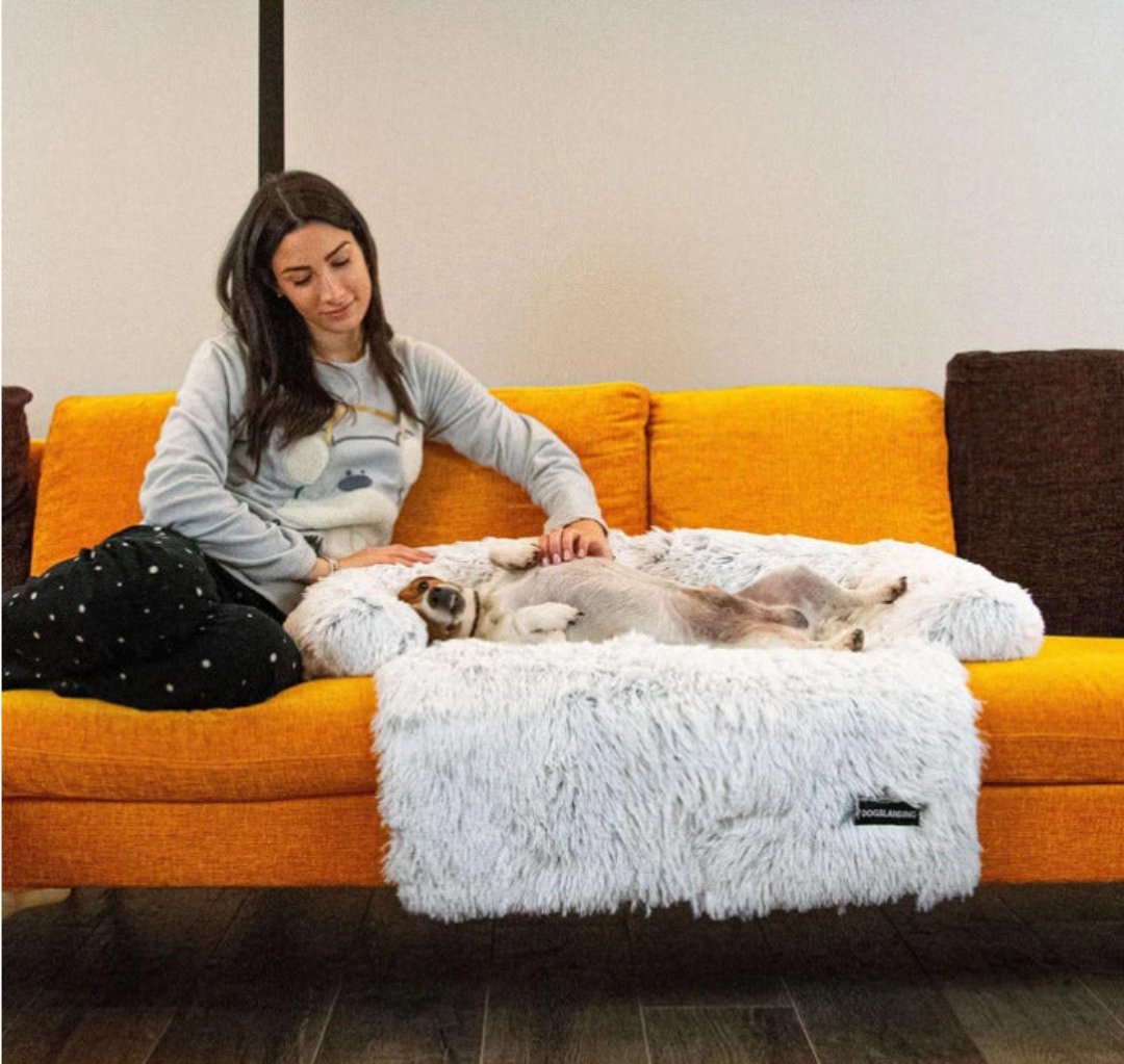Vinterlyx Hundsoffa - PawLounge Snöflingeutgåvan