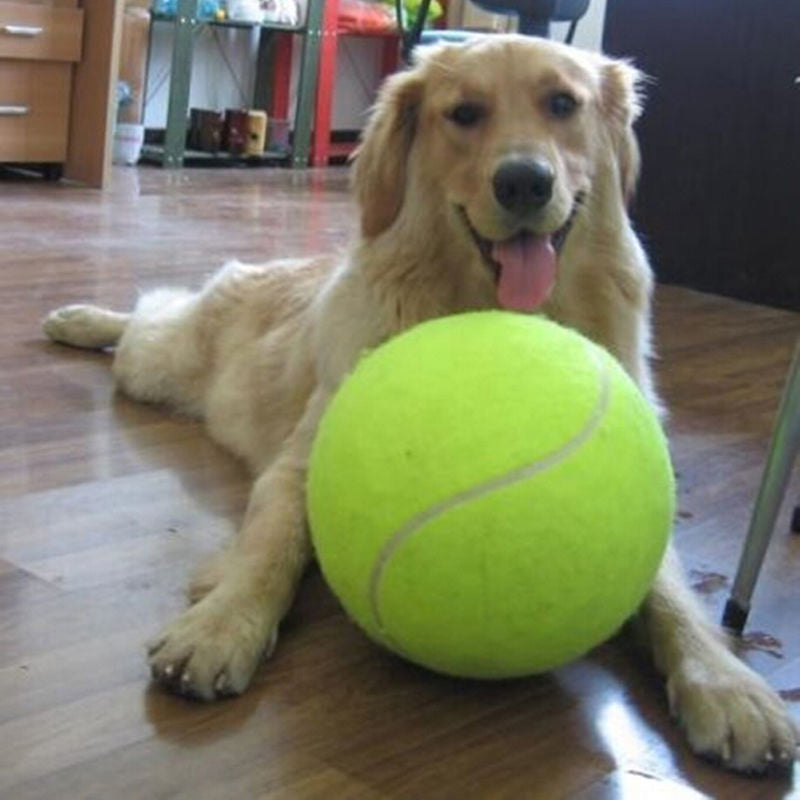 XL Tennisboll för Hundar (24 cm) - GiantFetch