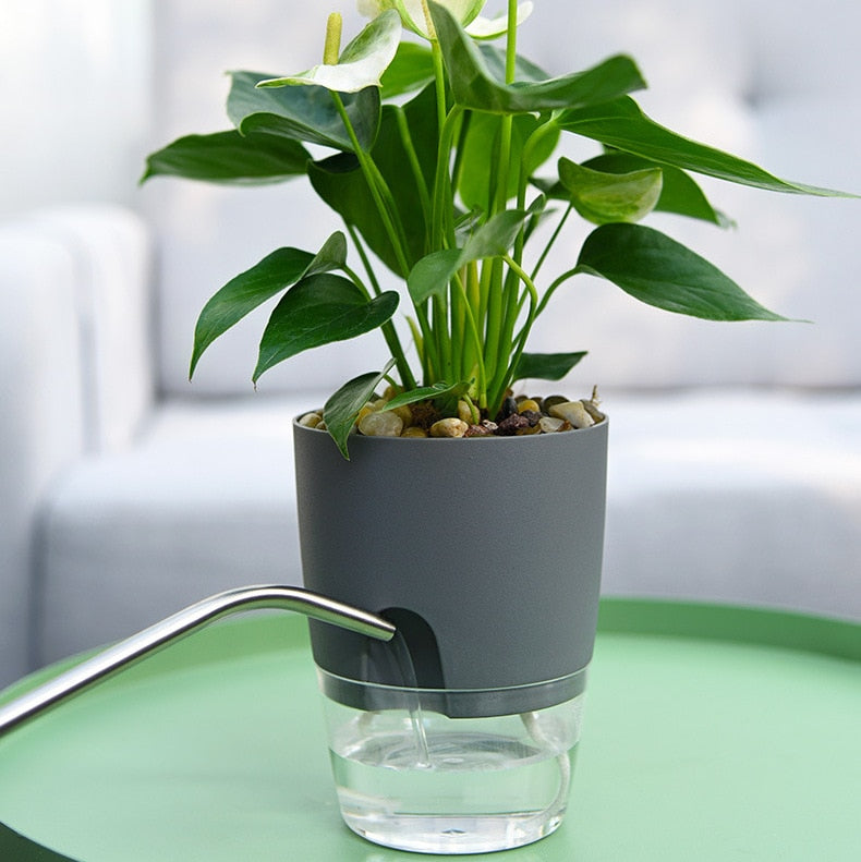 Självvattnande Blomkruka – AquaBloom