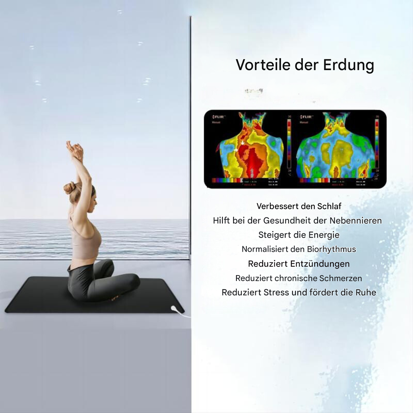 Koldioxidläder Jordningsmatta – EarthConnect