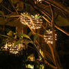 Ananas Solar Lampa - SolarPine