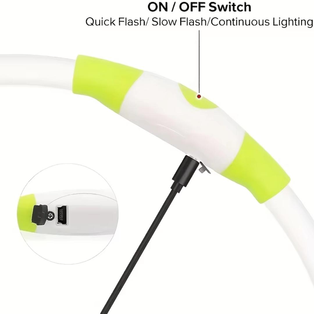 GlowSafe LED Hundhalsband – Uppladdningsbar USB Säkerhetslampa