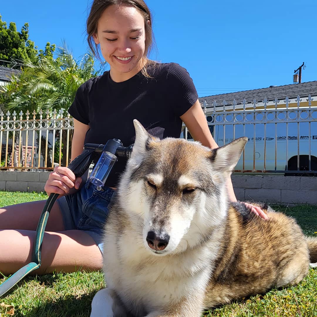 Hundduschspray - WashBuddy