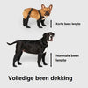 Kängor för Säkra Utomhusäventyr – PawShield