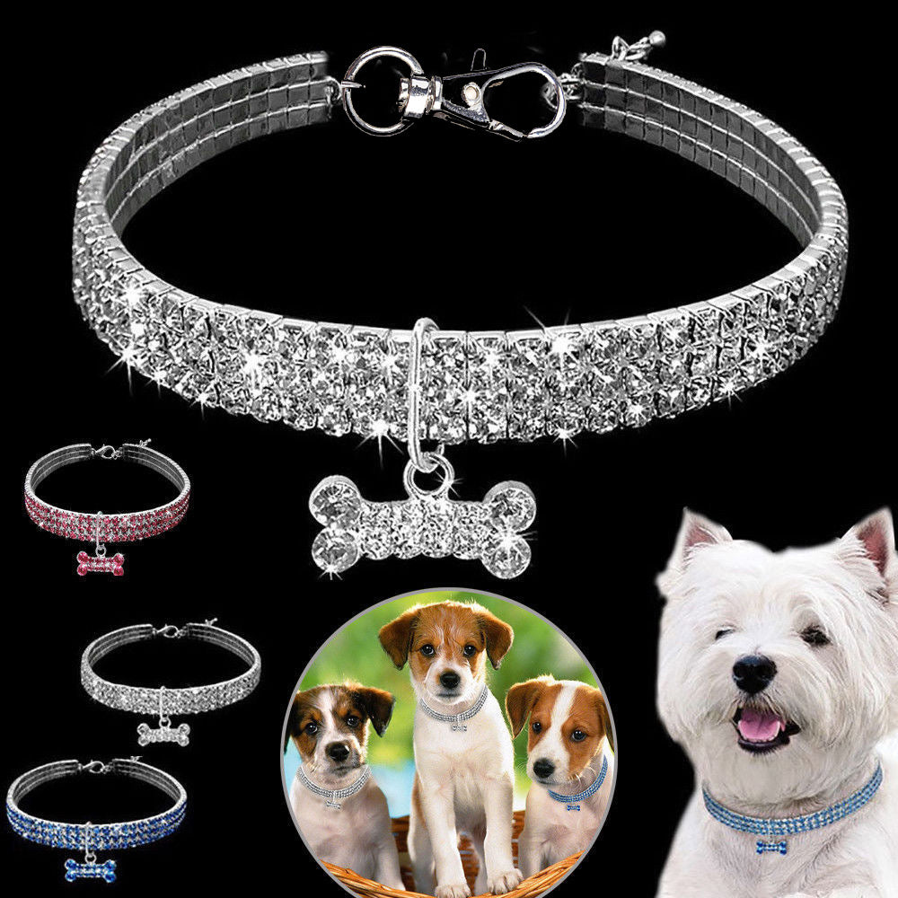 Premium Hundhalsband - Bling It On
