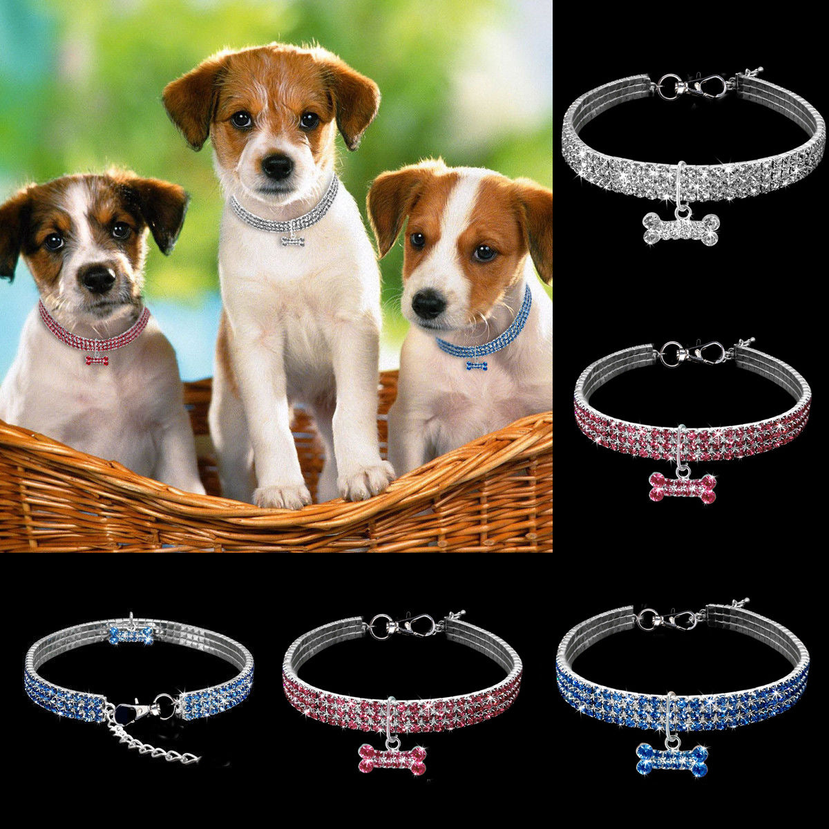 Premium Hundhalsband - Bling It On