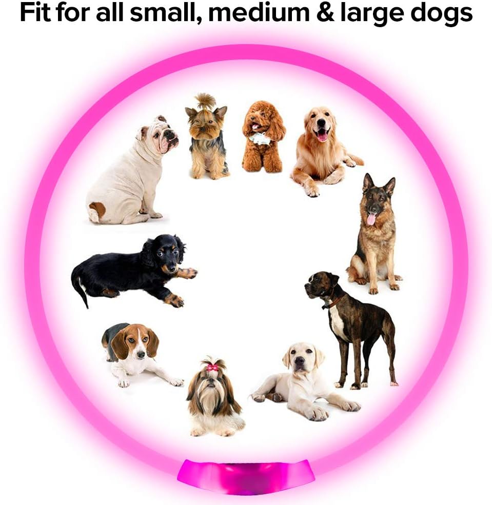 GlowSafe LED Hundhalsband – Uppladdningsbar USB Säkerhetslampa