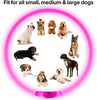GlowSafe LED Hundhalsband – Uppladdningsbar USB Säkerhetslampa