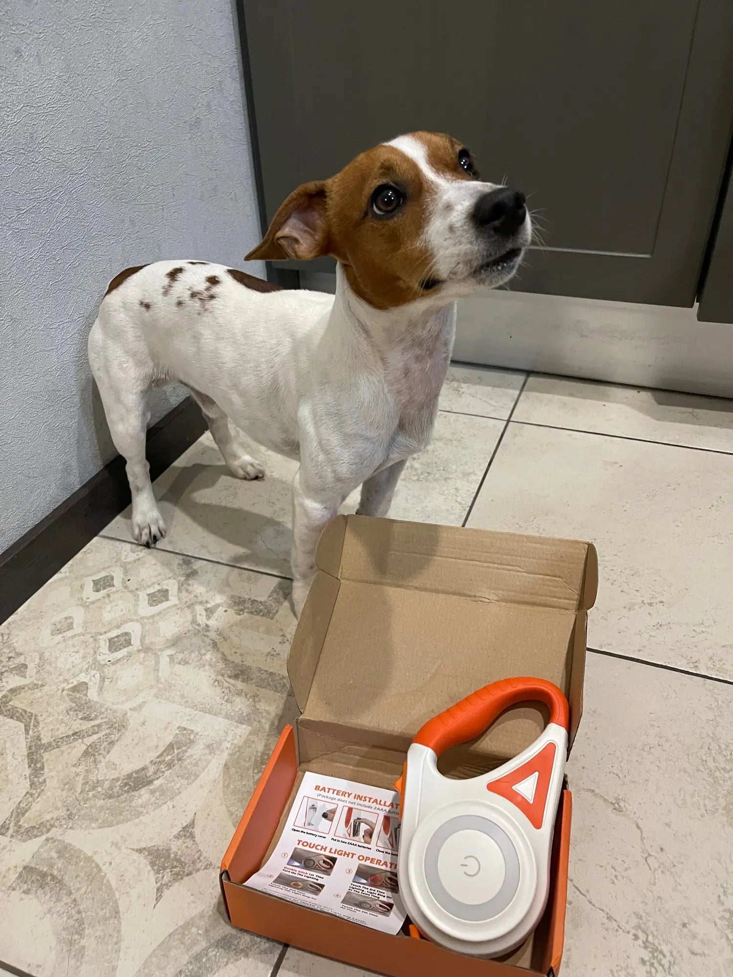 Upplyst Hundkoppel med Ficklampa – GlowGuard