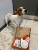 Upplyst Hundkoppel med Ficklampa – GlowGuard