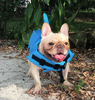 Hund Flytväst - AquaPup
