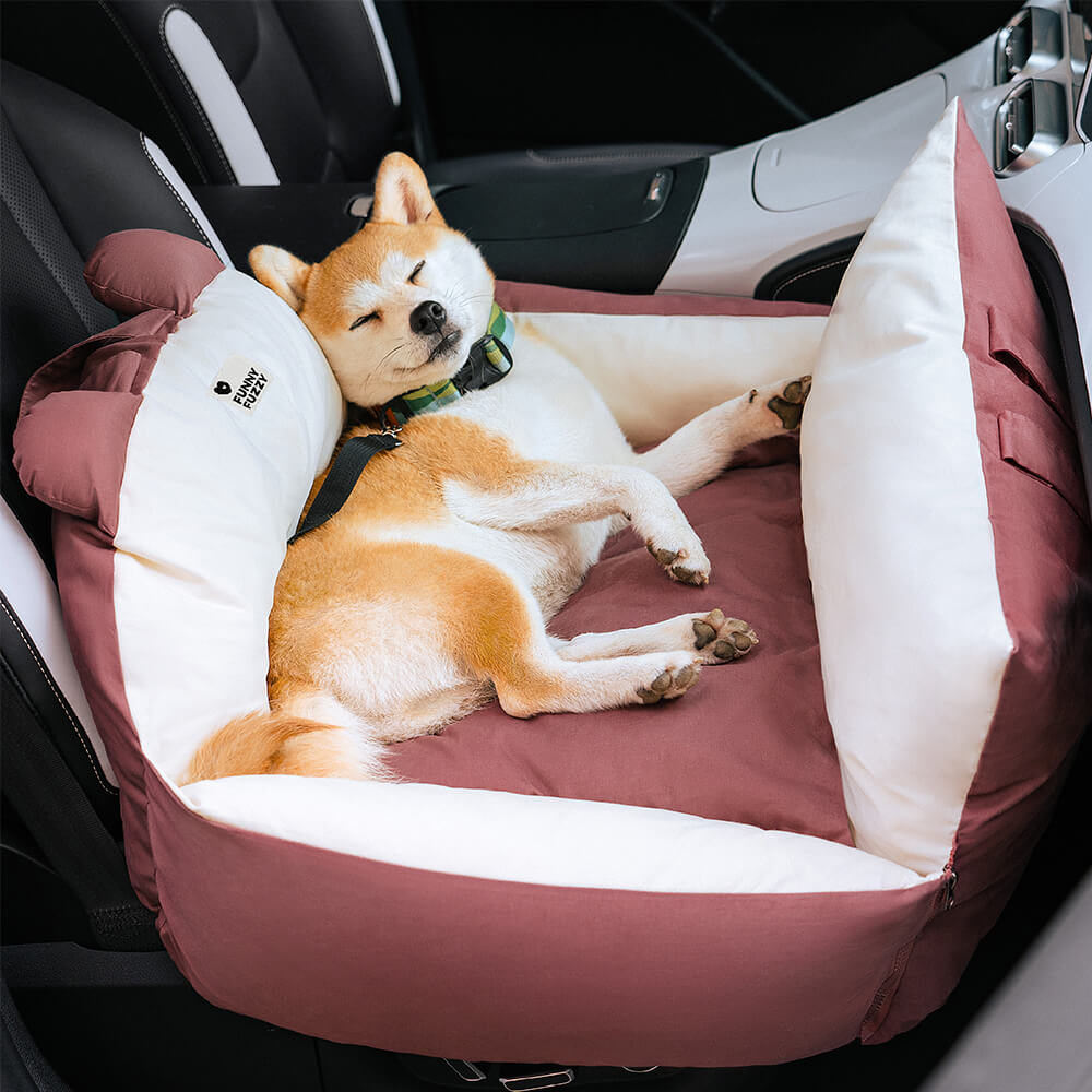 Hundbilbädd - BearBuddy