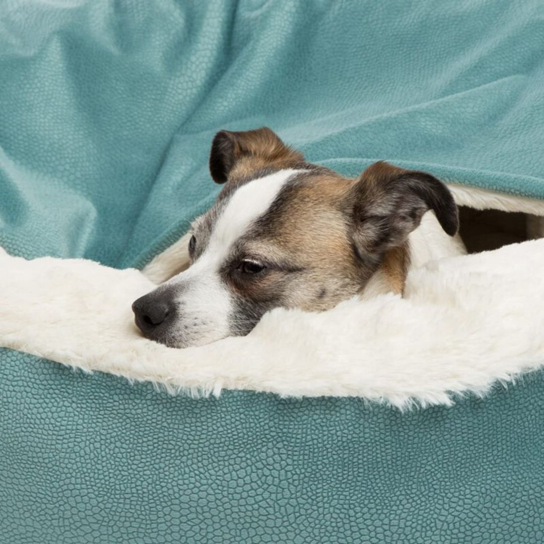 Vinterhund Snuggle Cave - Vinter SnuggleNest