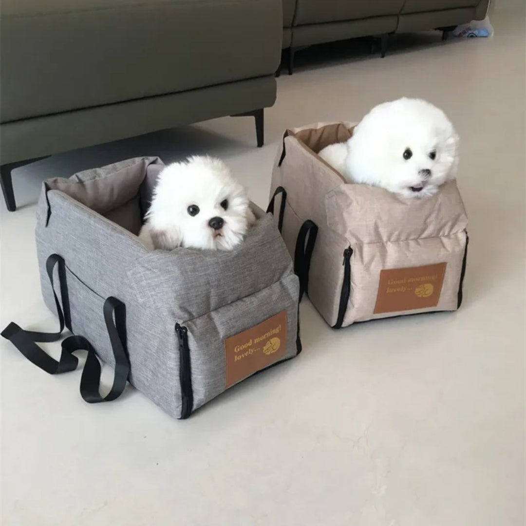 Hundböna för Säker Resa - SafePaws