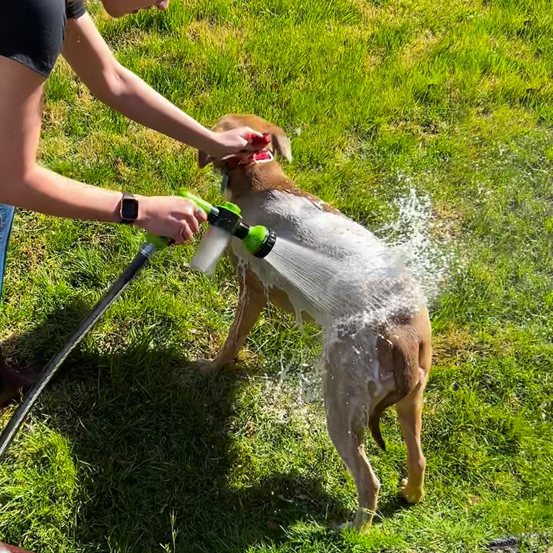 Hundduschspray - WashBuddy